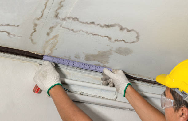 Reliable Burst Pipe Cleanup contractor in New Castle, CO by Local Water Damage Repair